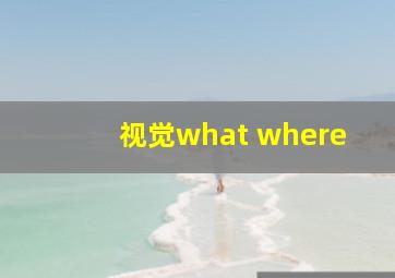 视觉what where